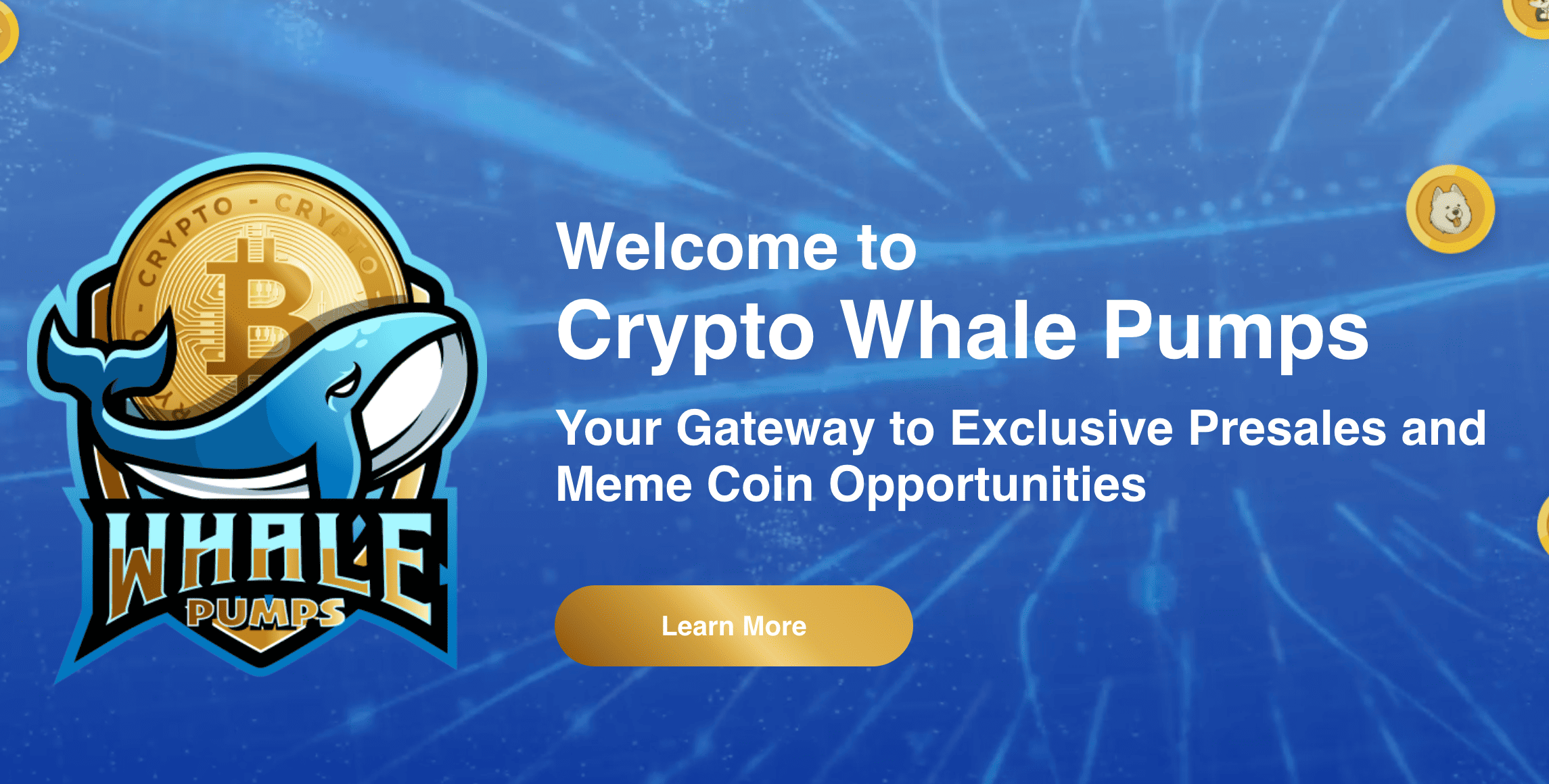 crypto whale pump